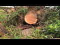 Stihl 400c VS Stihl 500i