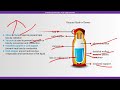 Heat, Temperature & Change of State | Vacuum Flask, Boiling, Pressure & Calorimetry (Physics)