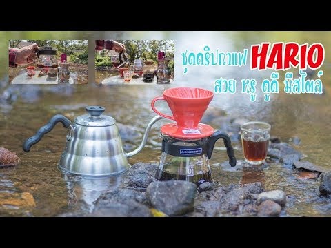 ชุดดริปกาแฟสด Hario V60 ผลิตจากประเทศญี่ปุ่นดีไซค์สวยหรู | ข้อมูลที่ถูกต้องที่สุดเกี่ยวกับชุดดริปกาแฟ