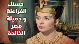 نفرتيتي | أجمل ملكات الفراعنة وجميلة مصر الخالدة التى تحولت إلى رجل !
