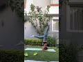 نورهان منصور نورهان منصور