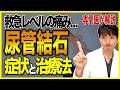尿管結石の症状・原因・検査・治療法について【医師が解説】日本人の10人に1人が生涯で経験する“人生で最も痛い”結石の痛みの仕組み、具体的な原因や、やってはいけないこと、実際の手術の様子もご紹介します。