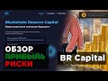 Blockchain Reserve Capital - доход, обзор проекта, выводы 💰