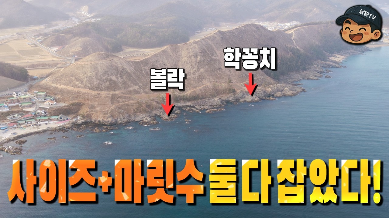 다양하게 나오다가 갑자기 '툭'! 영덕 준사미 손맛 제대로 봤습니다