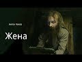 Жена (аудиокнига)