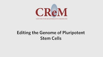 Editing the Genome of Pluripotent Stem Cells