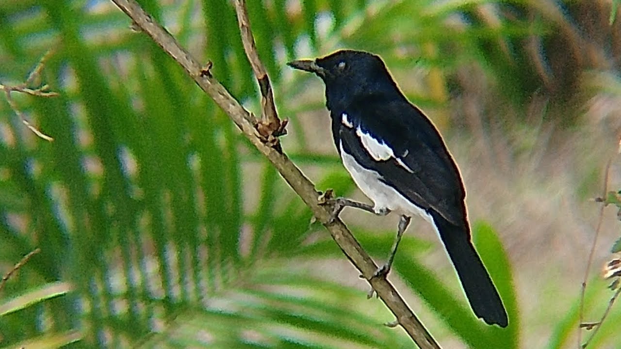 Dapat momen yang istiwewhaaaa gesss 🔥🔥 