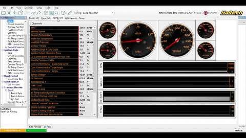 Haltech Datalogging Walkthrough