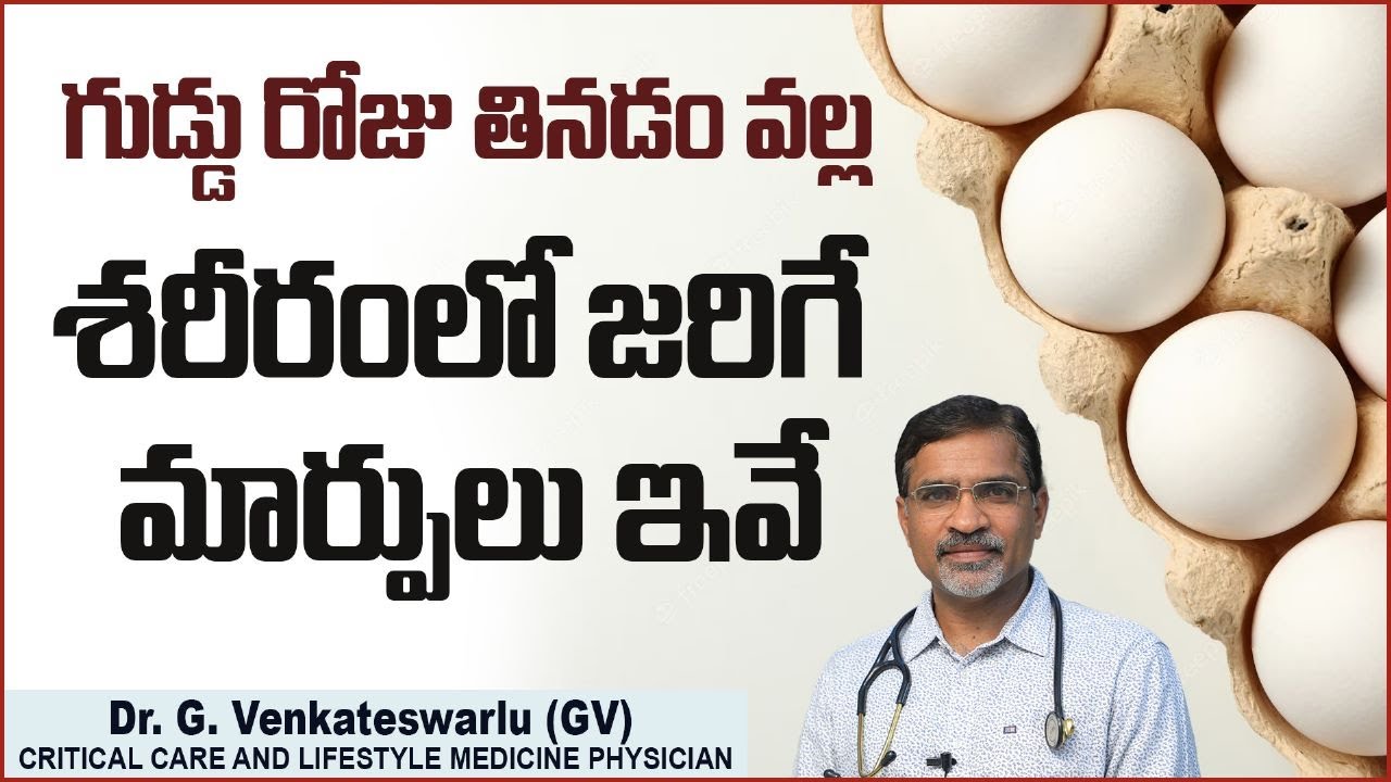 గుడ్డు రోజూ తింటే మంచిదా.! Eating Eggs Everyday Is Healthy Or
