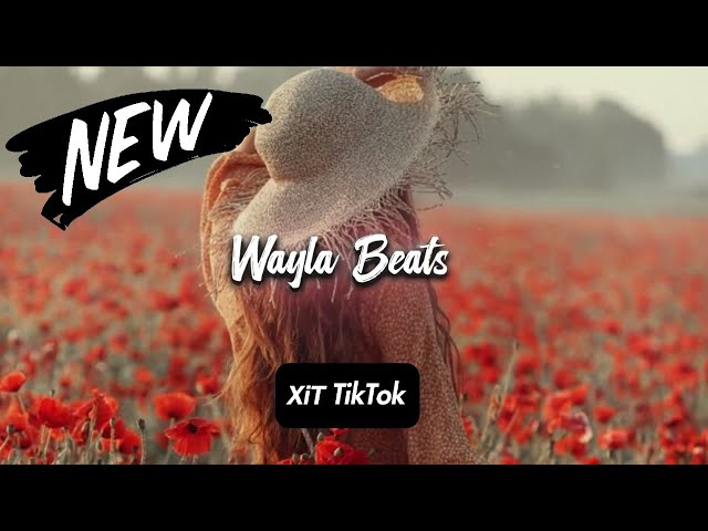 Kolibri, Zlata Ko - Червоний мак 🌺🌺🌺 | Ти чекала на небі знак | Хіт 2026