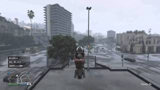THE DOPPELGANGAZ - STAWP IT (GTAV)