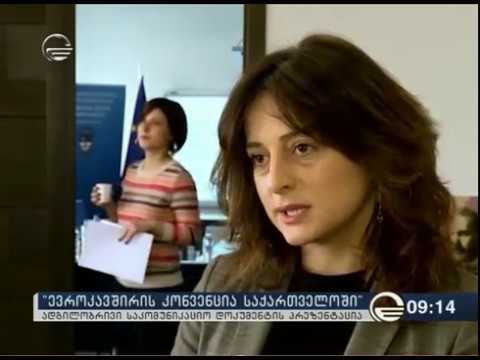 პროექტი - ევროკავშირის კონვენცია საქართველოში