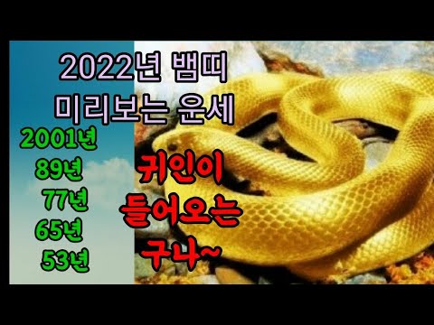 2022년 뱀띠 운세 미리보는 2022년 나이별 뱀띠 운세(2001년 89년 77년 65년 53년)
