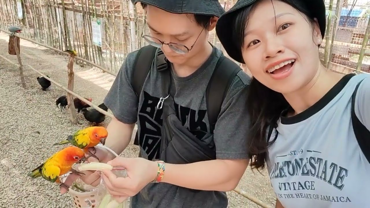 Vlog | B a t a m 2D_1N trip