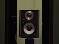 Wiim Amp i Sony