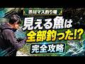 見える魚は全部釣った!? 芥川マス釣り場 完全攻略!#芥川マス釣り場 #エリアトラウト #ネオスタイル