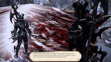 Final Fantasy XIV: A Realm Reborn - Double Dragon