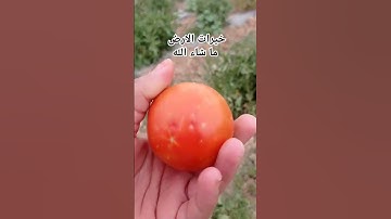 ماشاء الله #قرآن #قران_كريم #عبدالرحمن_السديس #سورة_الرحمن #صلوا_على_النبي #احاديث #لايك #اكسبلور