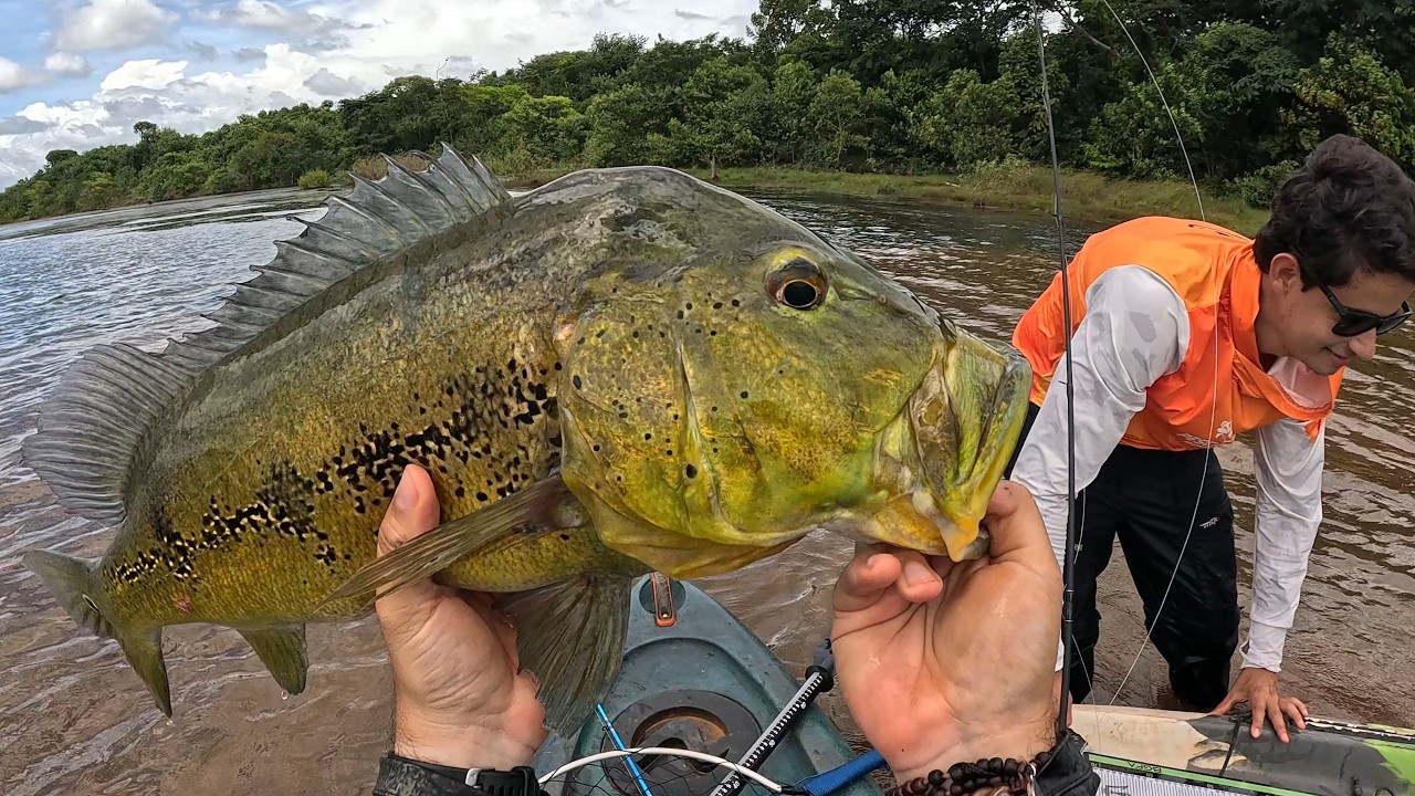 Só quem já passou sabe: Tucunaré Monstro e Natureza Contra na Pescaria