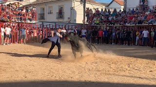 ✅IMPRESIONANTES QUIEBRO😱 A UN ENORME TORO‼️ Valdaracete ( Madrid)