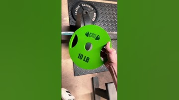 Multi-Color 10LB Weight Plates by Micro Gainz because why not? 🤷‍♂️