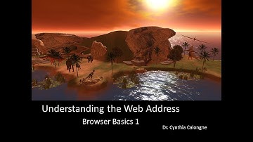 Understanding the Web Address Browser Basics 1