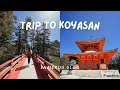 Trip to Mount Koya in Wakayama, Japan: Temple Stay, Vegan Food & World Heritage Spot
