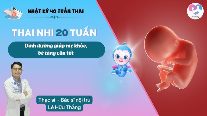 Chế độ dinh dưỡng kết hợp với ngũ cốc cho mẹ bầu