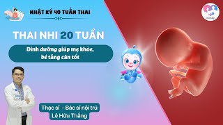 Thai 20 tuần: Một số lưu ý dành cho mẹ - Sự phát triển của thai nhi tuần thứ 20 | Bs. Lê Hữu Thắng screenshot 5