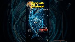 මුහුදේ තියෙන විශාල දේවල් / lion's mane jellyfish,blue whale heart  #deepscience #shorts