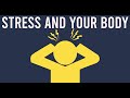 Top Factors Causing Stress To Buildup In Your Body