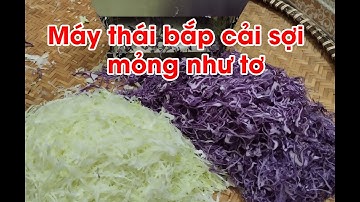 Máy thái rau bắp cải trắng- tím làm salad.  Thái sợi cải bắp, bắp sú trắng- tím siêu mỏng