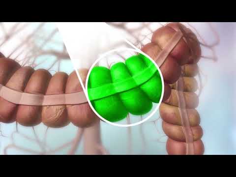 how fluorescence works