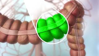 how fluorescence works