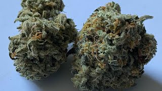 🥖💨Medical Marijuana Review #83 : Twice Baked : Maitri Medicinals