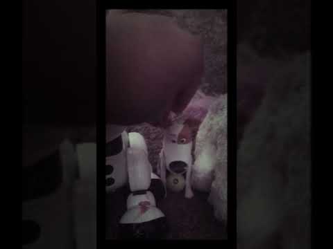 Watch this video you will be the funniest to Eva early this with you to see if I knew