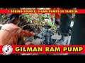 Inside the Heavy Duty, Gilman Ram Pump Model RP300. Bonus footage: Parallel installation setup