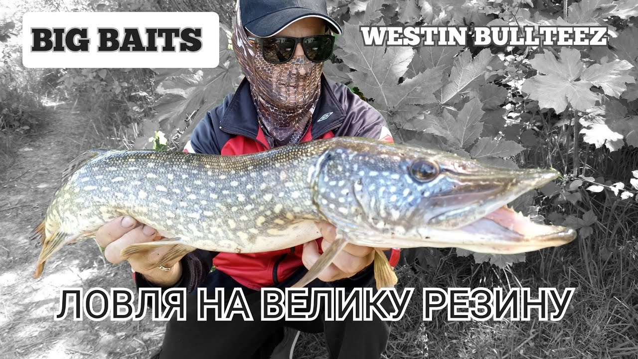 Ловля щуки на велику резину.Схід трофея. Westin bullteez.Big baits.