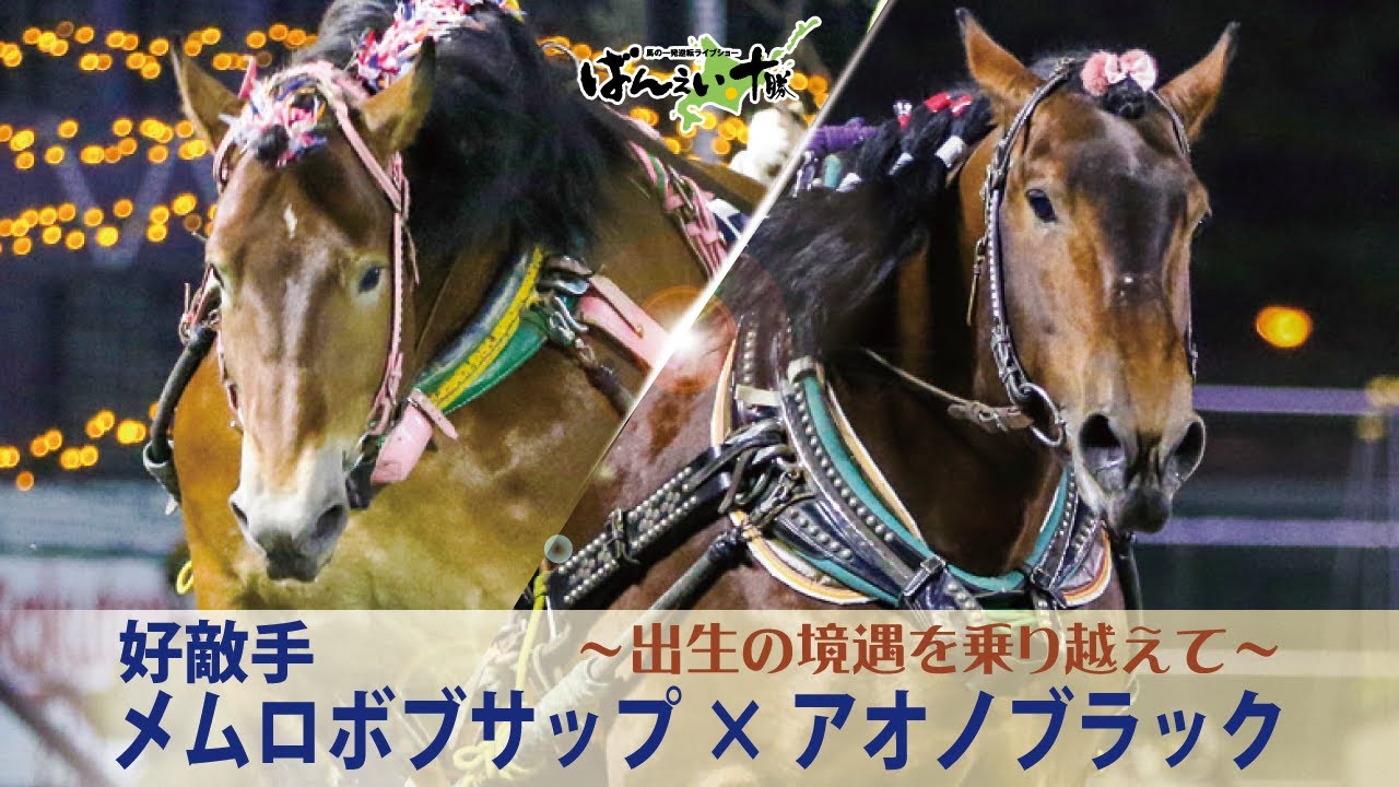 好敵手 メムロボブサップ×アオノブラック ～出生の境遇を乗り越えて 