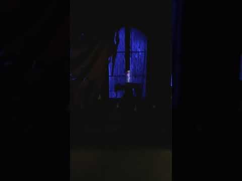 Be Our Guest Restaurant West Wing Ceiling Fabric Hidden Mickey Youtube