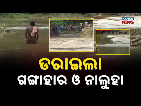 ଲଗାଣ ବର୍ଷା ଯୋଗୁ ଫୁଲିଲା ଗଙ୍ଗାହାର ଏବଂ ନାଲୁହା ନଦୀ | Mayurbhanj Flood Alert: 5 Feet Water Over Bridge