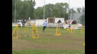 obraz 040