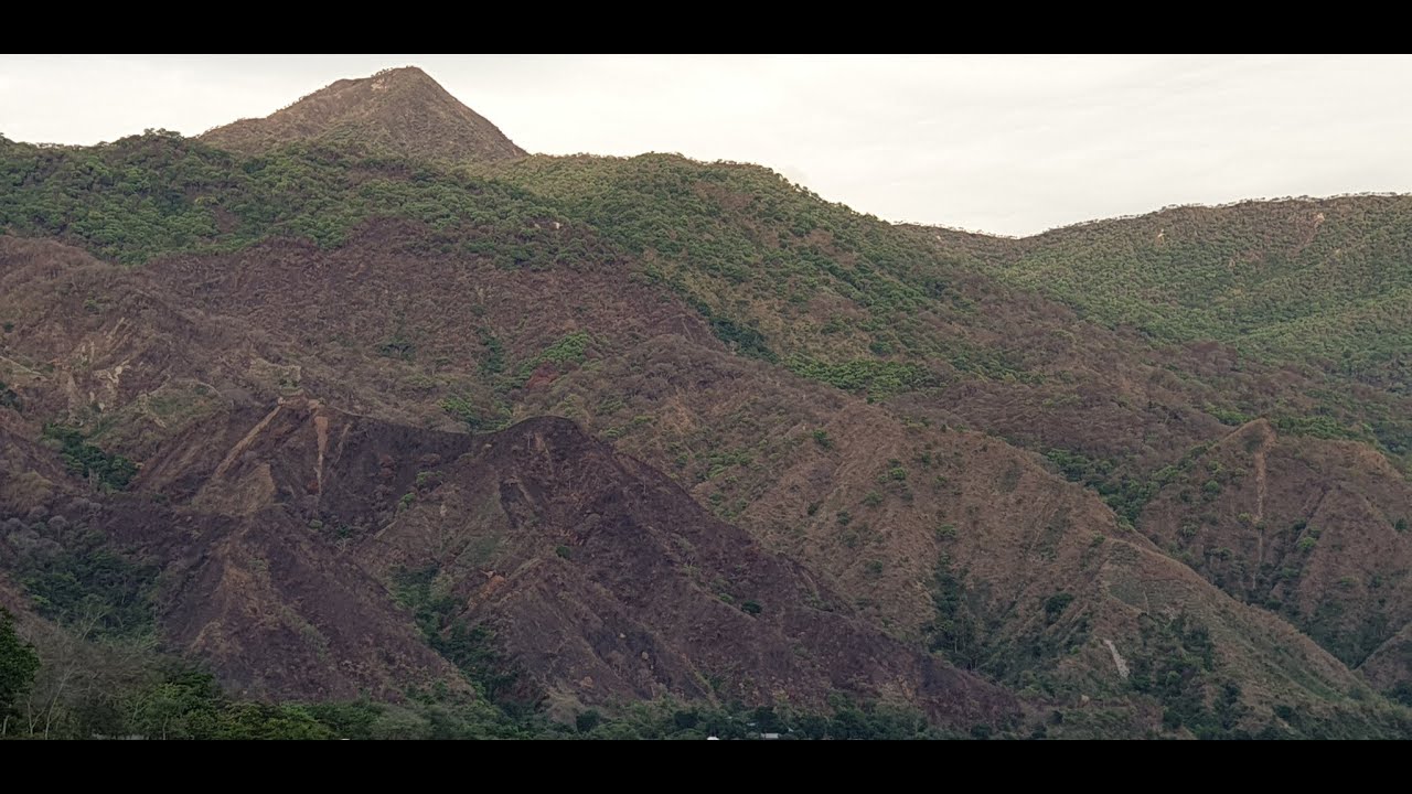 Profesa Mwandosya Alia na Kasi ya Uchomaji Moto Safu za Mlima Living Stone