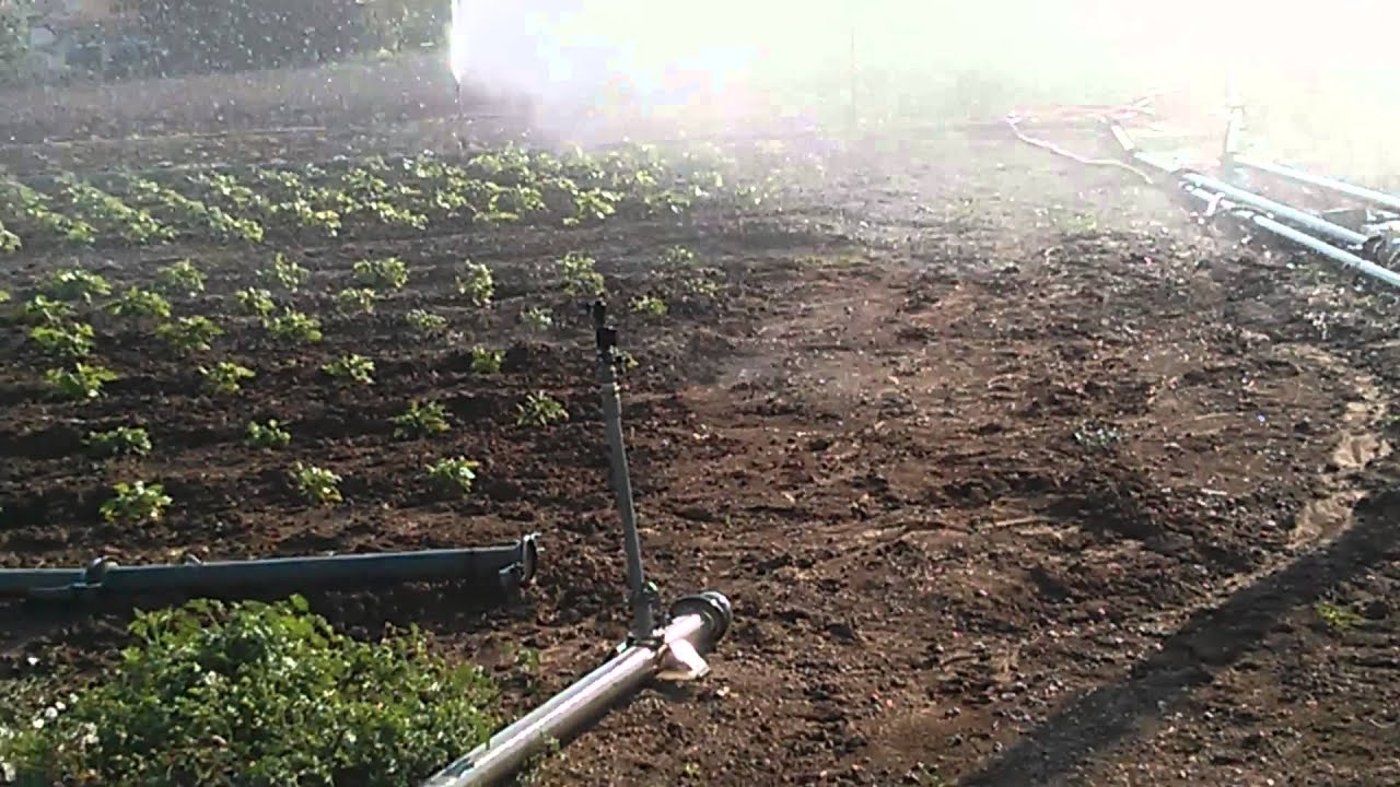 KESLA Irrigazione a pioggia 1/8 di Pollice Tubo di... - Vicedeal KESLA Irrigazione a pioggia 1/8 di Pollice Tubo di... - Vicedeal