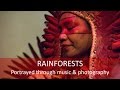 Project rainforest  judeone4you