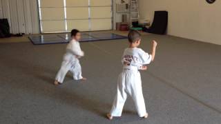 Beginner boys of Okinawa-te - Falling Leaf kata beginning - Straight Punch Attack Short form