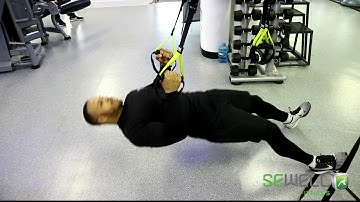 TRX ROWS PROGRESSIONS | FULL VERSION