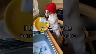 Il tipo di cane che vorrebbe mia madre