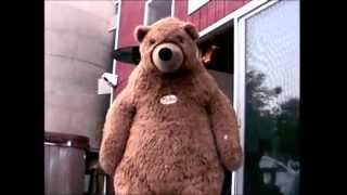 Live 64Squares And Lustrous Mud