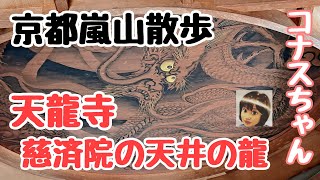 京都⭐️嵐山散歩　天龍寺の慈済院の天井の龍
